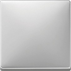 Клавіша для 1-кнопкового вимикача Merten System Design. Колір Сталь MTN412146 