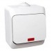 WDE000514 Одноклавишный наружный выключатель с подсветкой 16A IP44 серии Cedar Plus. Цвет Белый