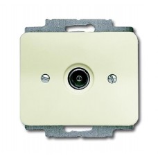 Розетка TV одинарн.в сборе BD сл.кость