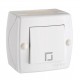⚡Выключатель одноклавишный серии Octans (Mono Electric). Цвет Белый