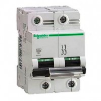 ⚡Автоматический выключатель Schneider Electric C120N, 63А, кривая B, 2 полюса,10кА (A9N18344)