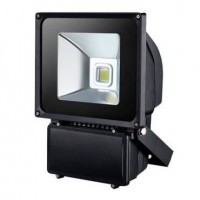 LED-прожектор Eurolight EV-70-01 70Вт (холодный свет) LED-прожектор Eurolight EV-70-01 70Вт (холодный свет)